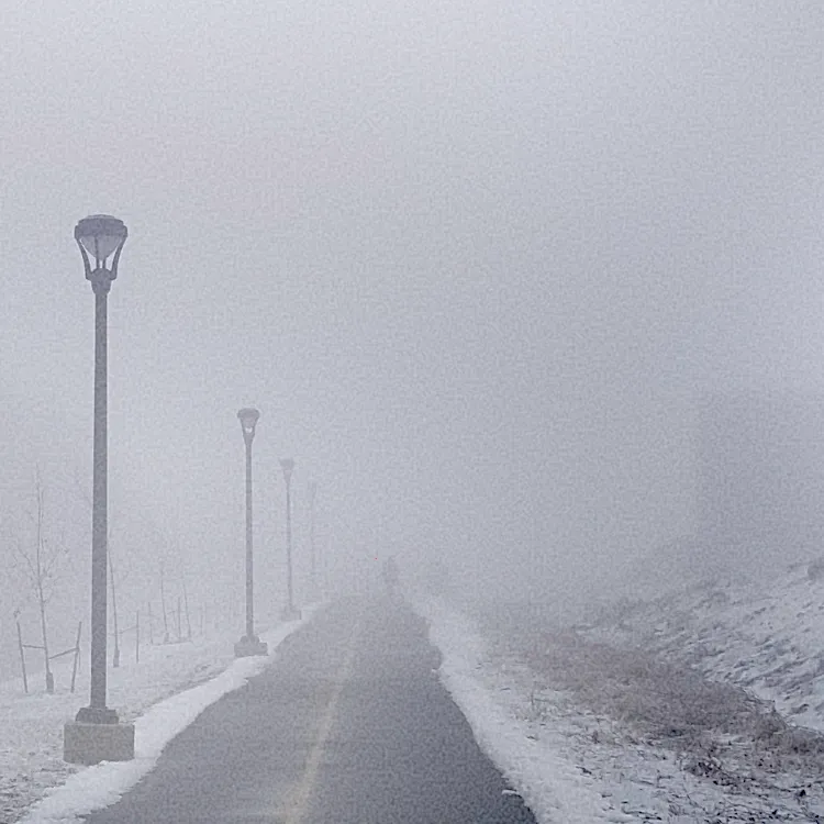 The best spot to sit in when you're tired.